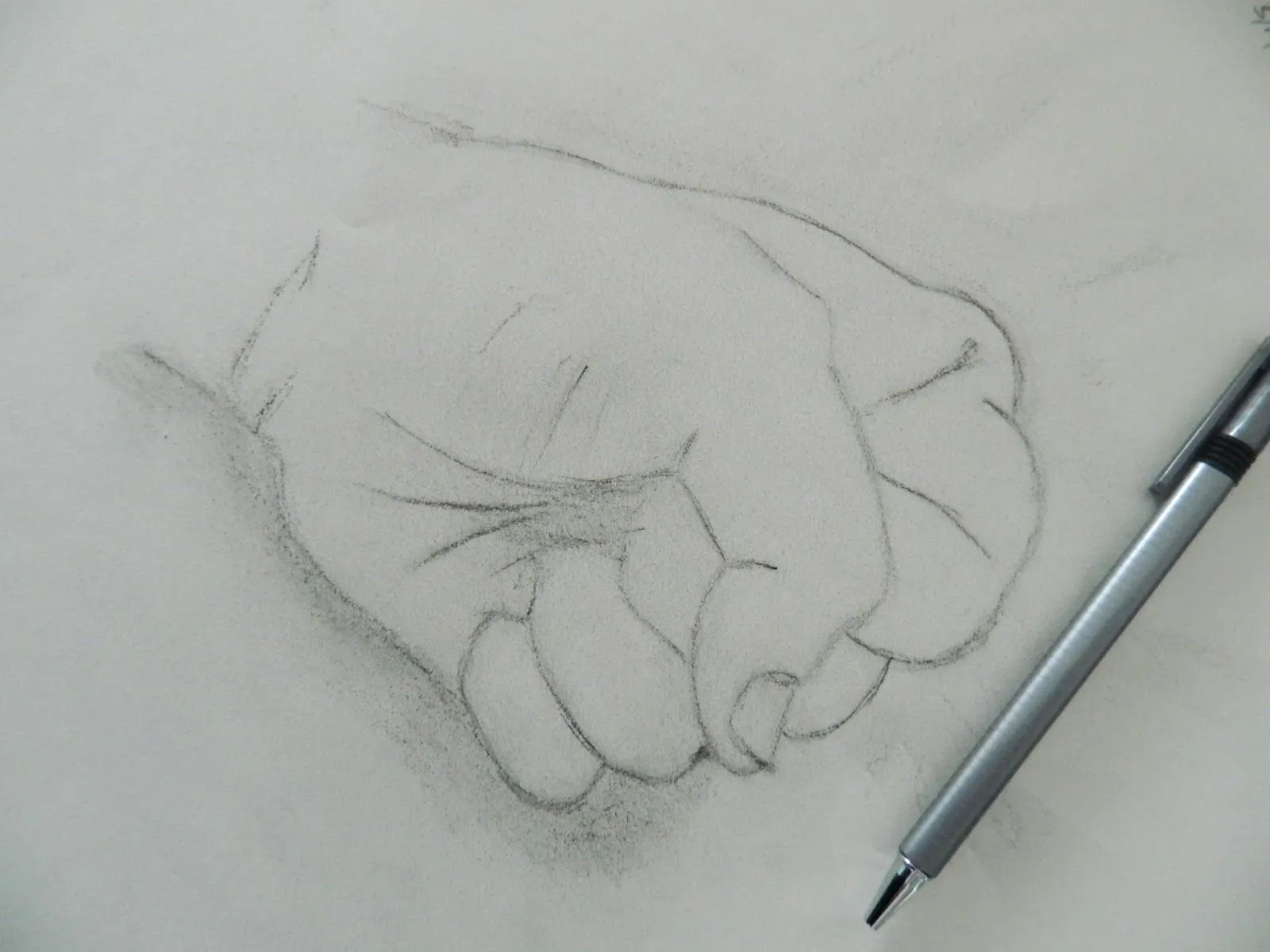 Dibujos en el tiempo: enero 2013