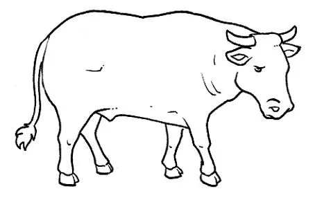 DIBUJOS DE TOROS PARA COLOREAR | Dibujos para colorear