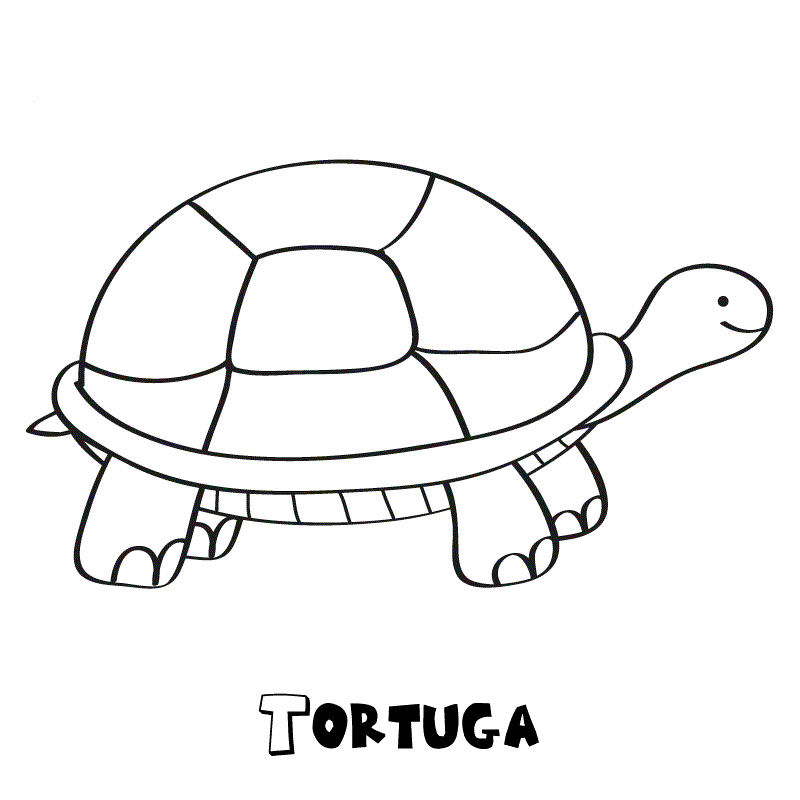 Dibujos de tortugas para colorear e imprimir