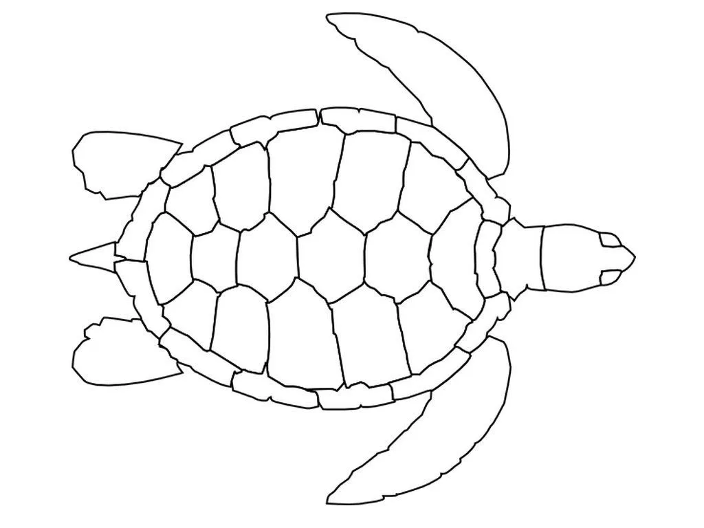 Dibujos de tortugas para colorear e imprimir