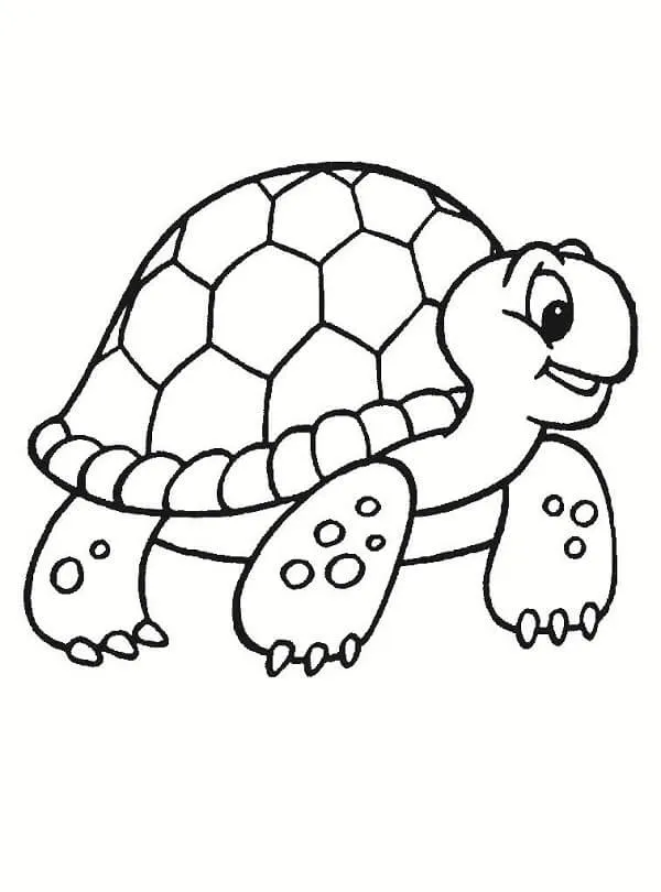 Dibujos de Tortugas Para Pintar y Colorear Gratis