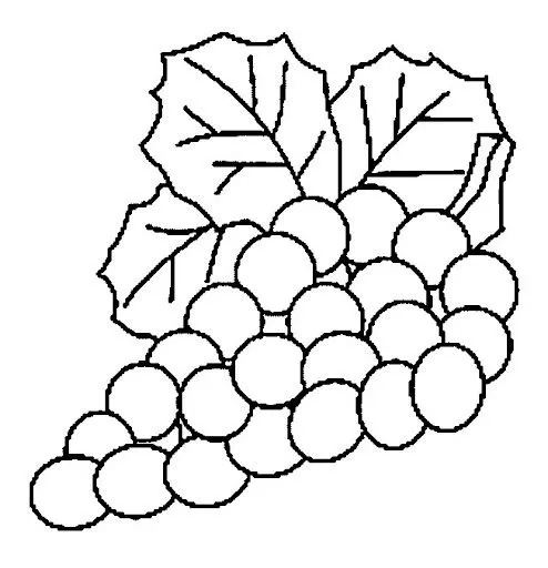 Dibujos de uvas para colorear