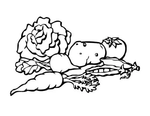 DIBUJOS DE VERDURAS PARA PINTAR VERDURAS PARA IMPRIMIR DIBUJOS DE ...