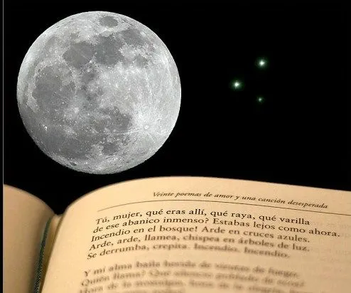 Diente de león: Poemas de amor: "quien lo probó, lo sabe"