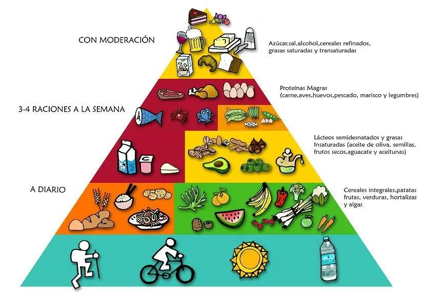 Dieta Coherente | tu salud está en la despensa | Página 4