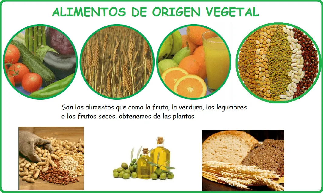 DIETA SALUDABLE PARA NUESTRO SISTEMA CIRCULATORIO: ALIMENTOS DE ...