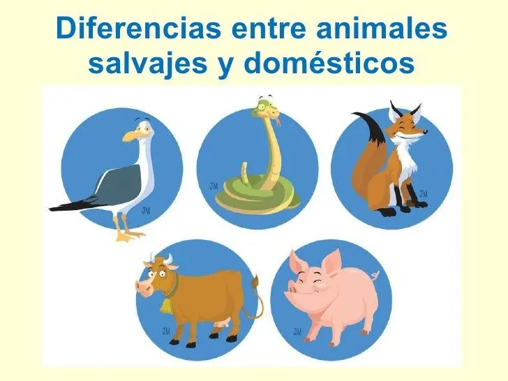 Diferencia entre animales domésticos y salvajes