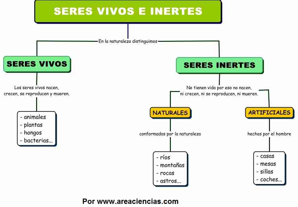 Diferencia entra Seres Vivos y No Vivos