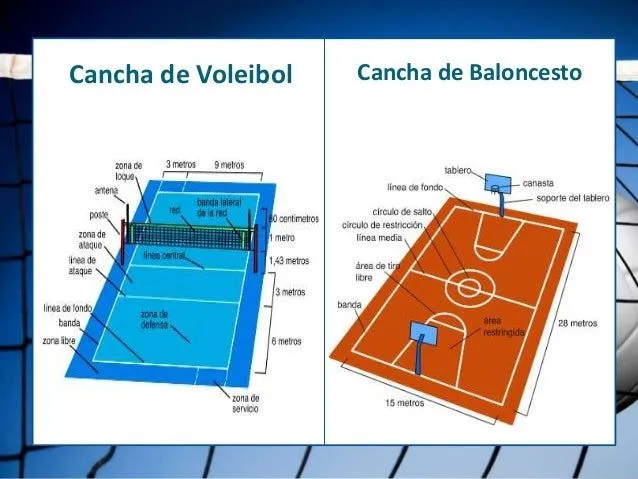 Diferencias entre el Voleibol y el Balonces