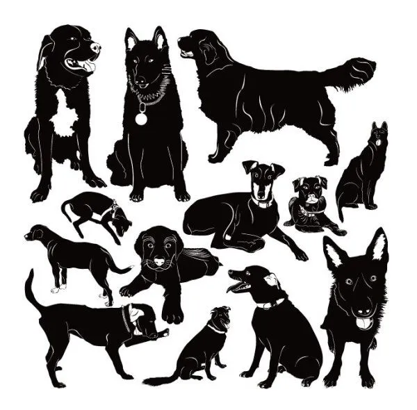 Different dog vector Silhouettes graphic - Vector Animal free download