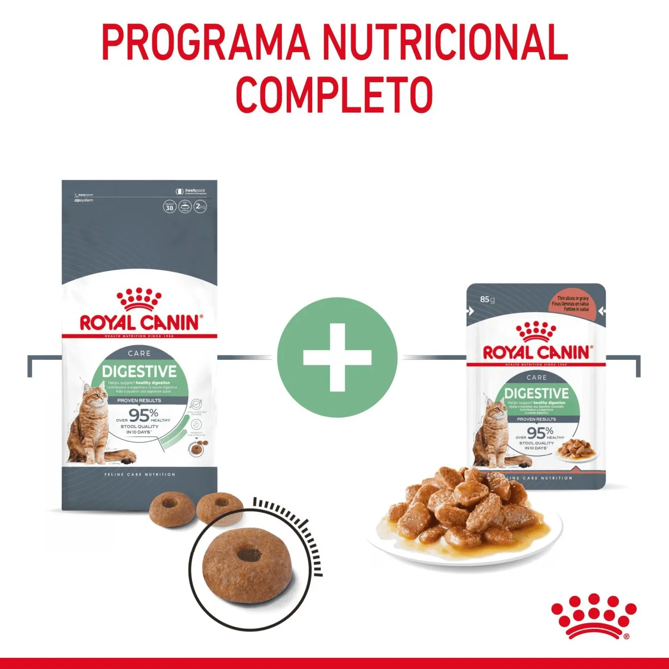 Digestive Care Finas láminas en salsa | Royal Canin ES