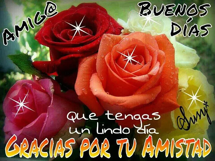 Imagenes • Buenos dias con rosas