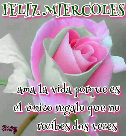 DILO CON FLORES Y TARJETAS: feliz miercoles