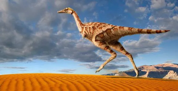 El primer dinosaurio del mundo con un solo dedo - RTVE.