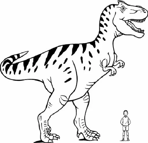 Dibujos de tiranosaurios rex - Imagui