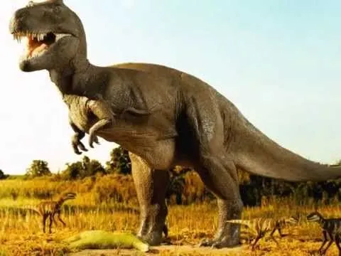 El primer dinosaurio semiacuático, descubierto en Marruecos ...