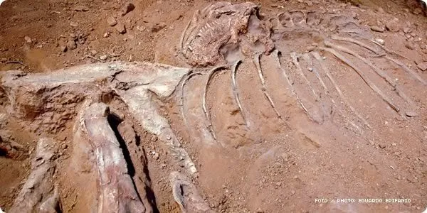 Dinosaurios en Argentina: Paleontología de la Patagonia