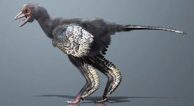 Dinosaurios y aves emplumadas | DINOSAURIOPEDIA