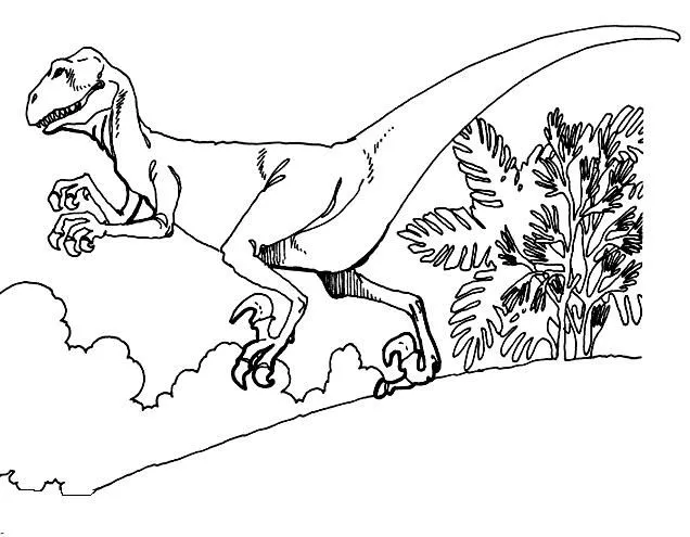 Dinosaurios para colorear