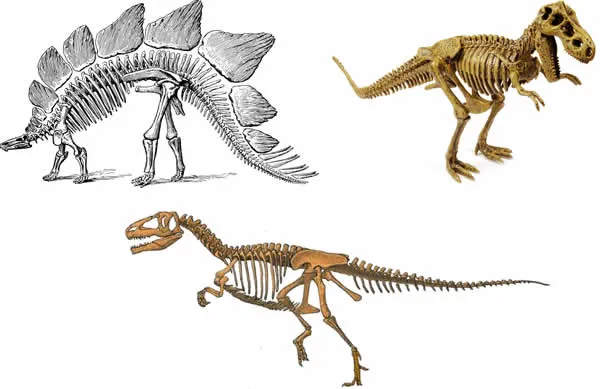 Los Dinosaurios. Como nacían, la alimentación y las teorías sobre ...