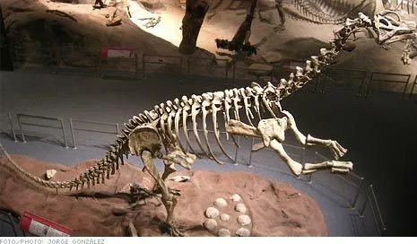 Dinosaurios | LA POSTA