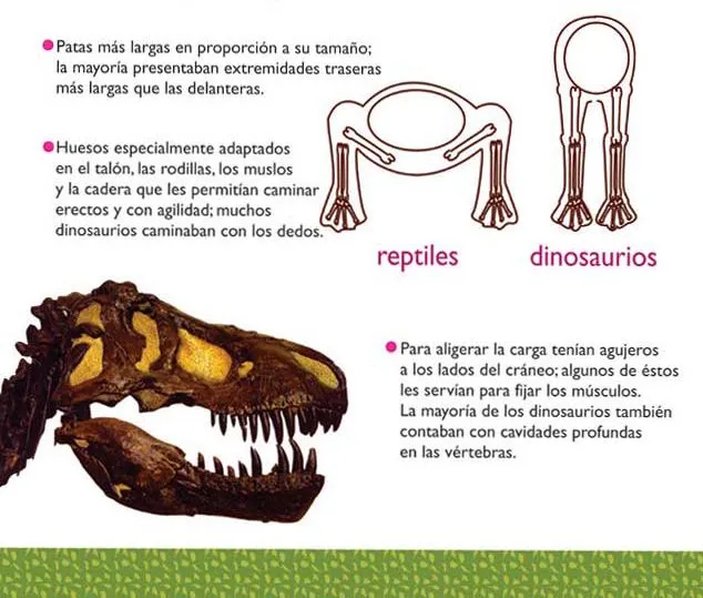 CARACTERISTICAS