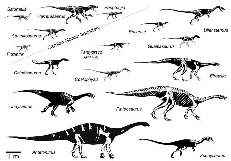 Dinossauros | Histórias da Vida e da Terra