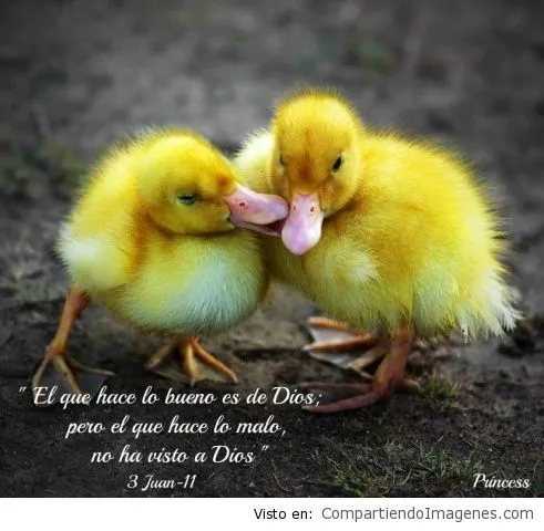 Dios | Dios! - Imagenes Cristianas para Facebook - Compartiendo ...