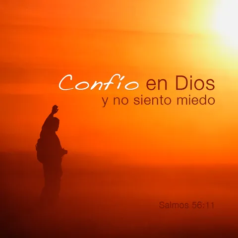 DIOS TIENE UN PROPÓSITO PARA NUESTRAS VIDAS...: LA PROTECCIÓN DE DIOS