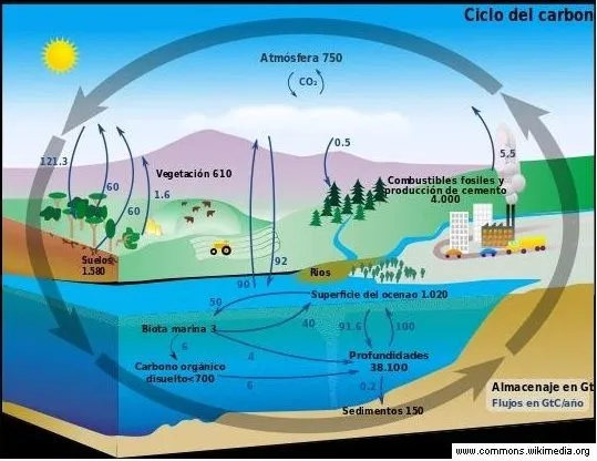 dióxido de carbono - Currículum en línea. MINEDUC. Gobierno de Chile.