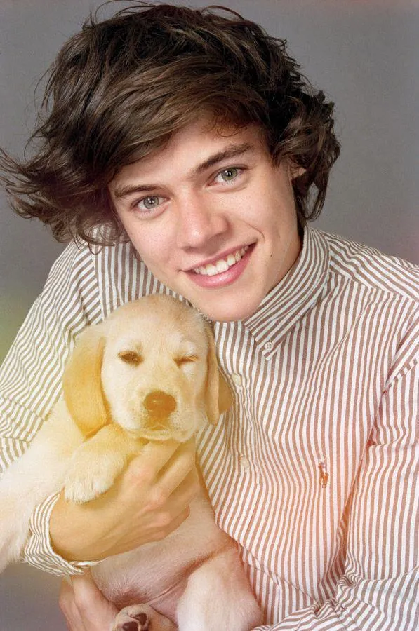 Directioners: One Direction posó junto a tiernos cachorros para la ...