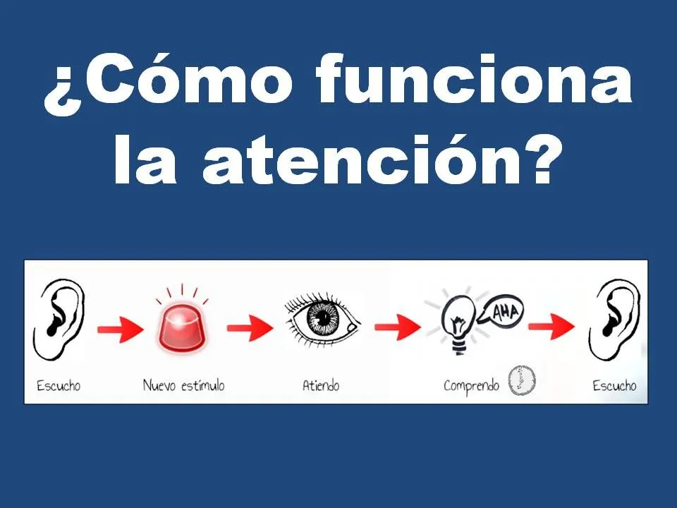 Cómo dirigir la mirada del público? | Presentable.es ...