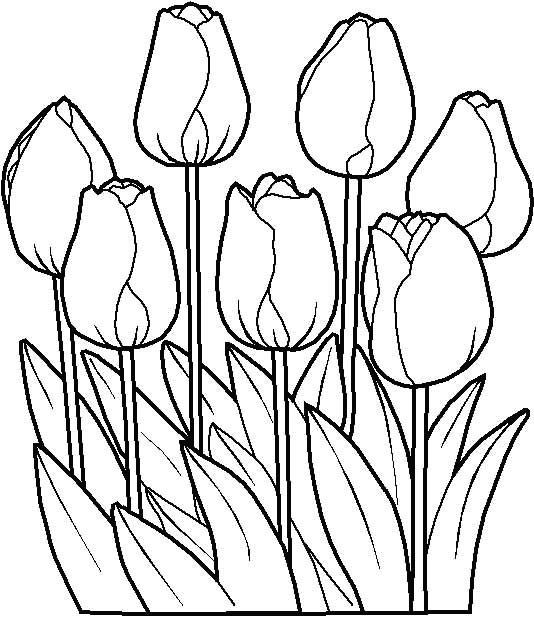 Disegni fiori da colorare e stampare