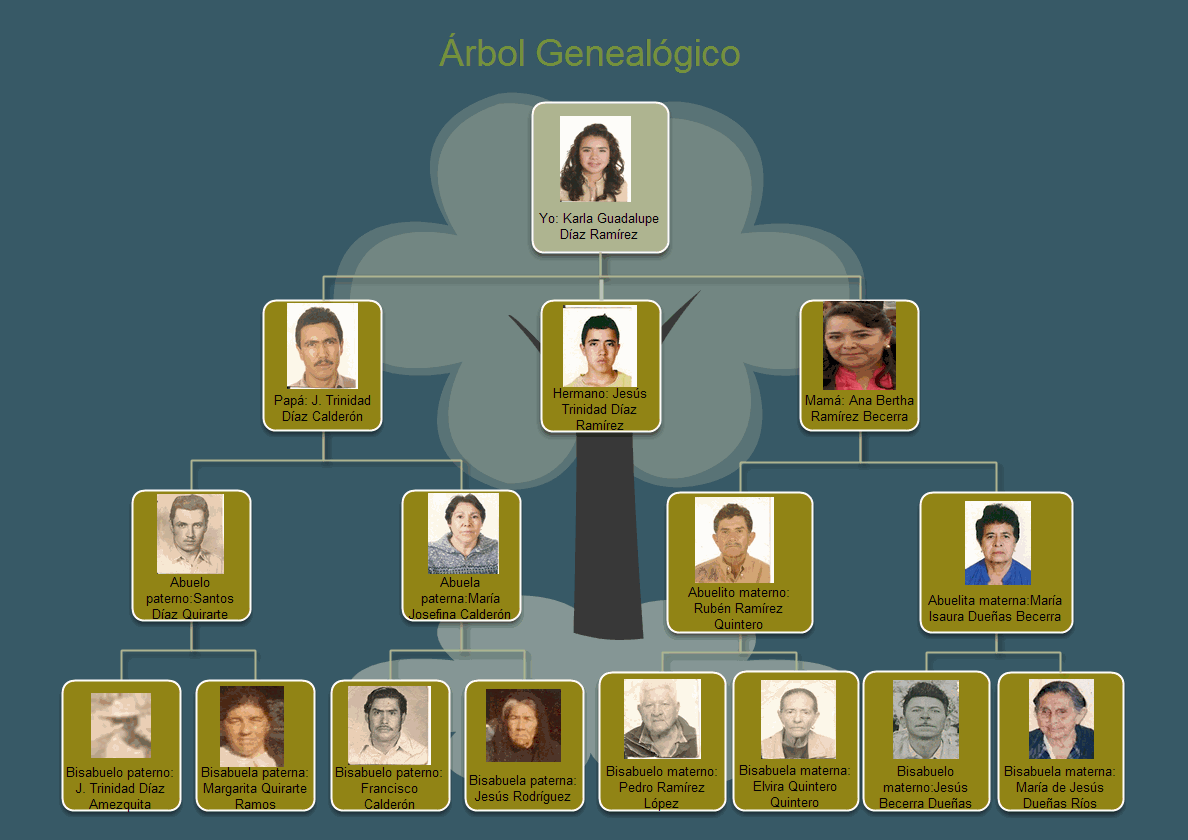 Plantilla arbol genealogico word - Imagui