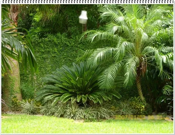 Como diseñar un jardín… | -Decoración y Jardinería-