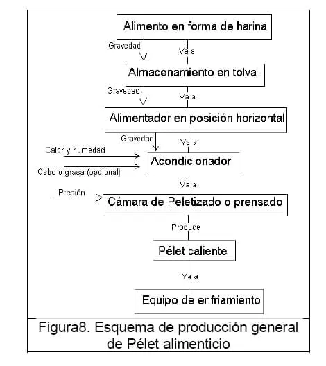 Diseño conceptual de una máquina peletizadora de alimento para ...