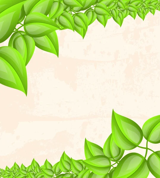 Diseño de hojas verdes frescas — Vector stock © file404 #13677021