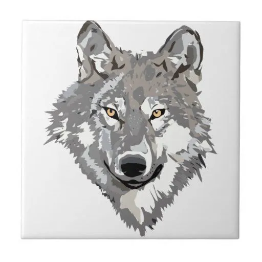 Diseño del lobo gris azulejos cerámicos de Zazzle.