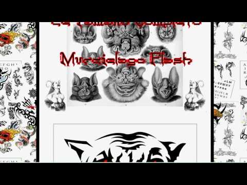 Diseño de tatuajes,tatuajes mariposa,tatuajes,dragones,tatuajes ...