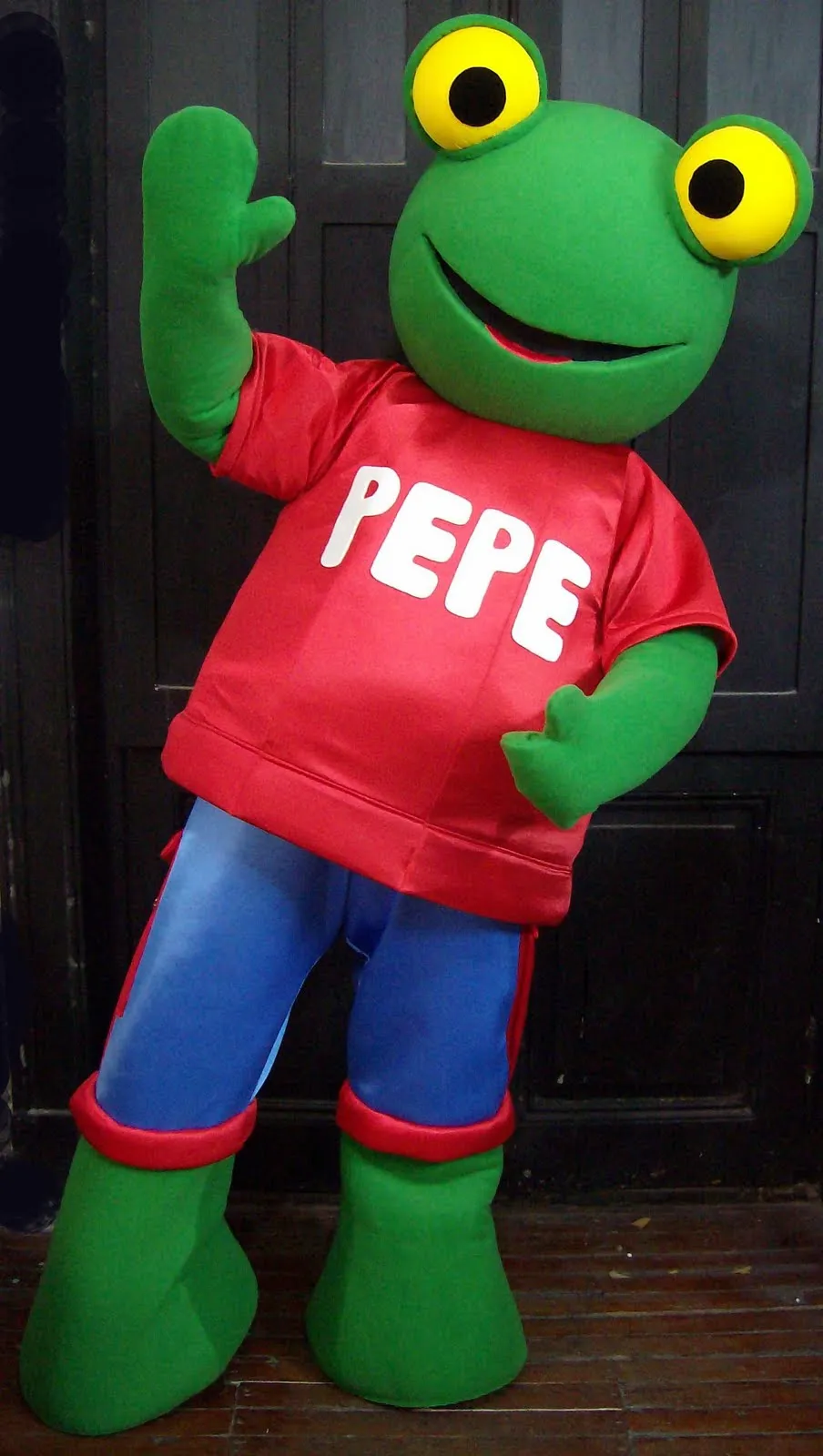 Disfraces Los Realizadores: Disfraz Sapo Pepe