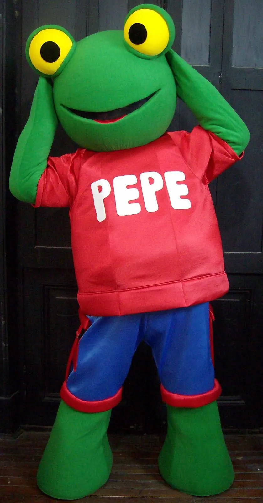 Disfraces Los Realizadores: Disfraz Sapo Pepe