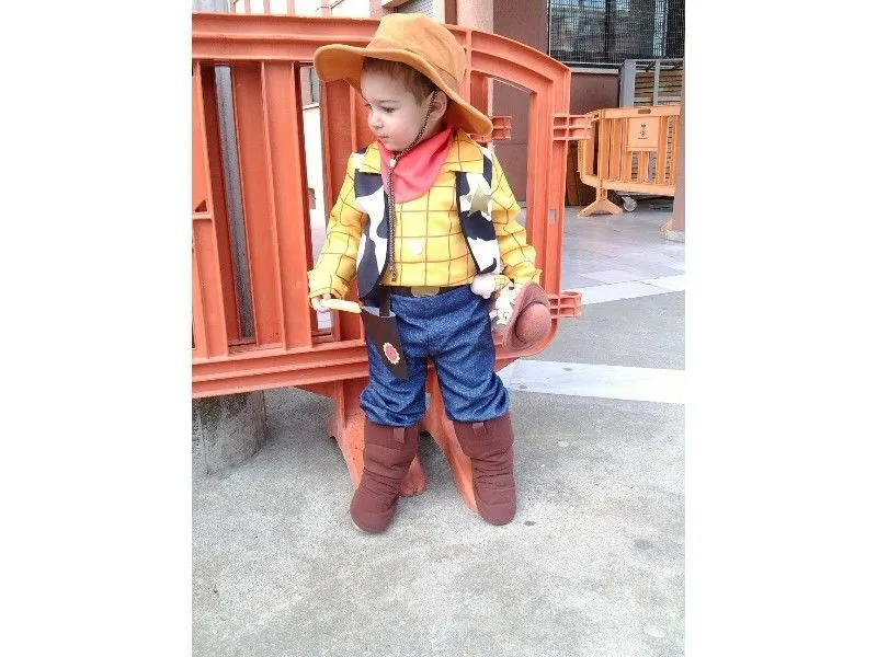 Disfraz de Woody Deluxe de Toy Story niño: comprar online