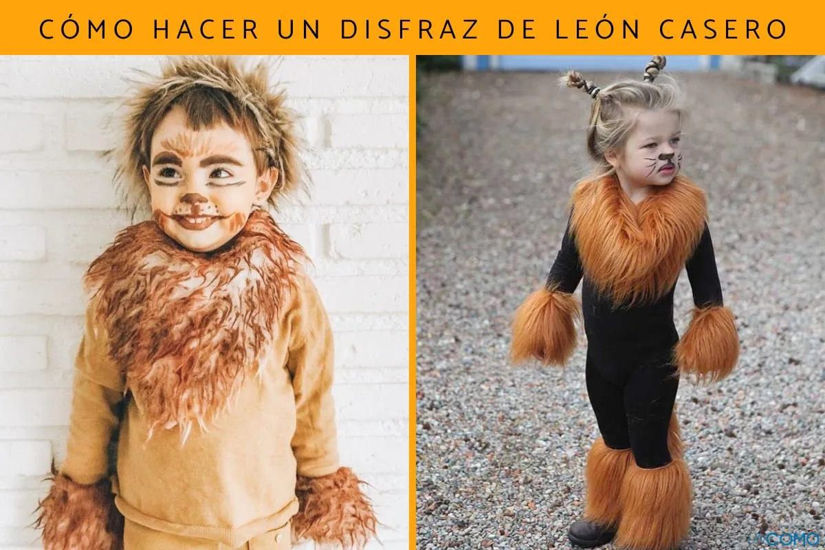 Cómo hacer un disfraz de león casero - ¡Descubre cómo se hace el traje, la  melena y los accesorios!