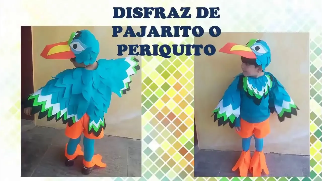 disfraz PAJARITO PERIQUITO niño - YouTube