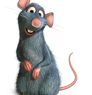 Disfraz de Ratatouille casero | Manualidades Infantiles