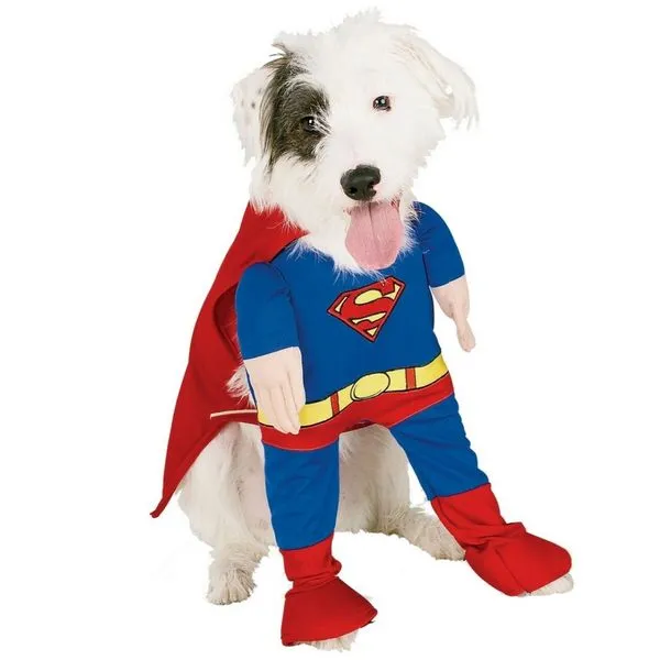 Disfraz de Superman para perro: comprar online