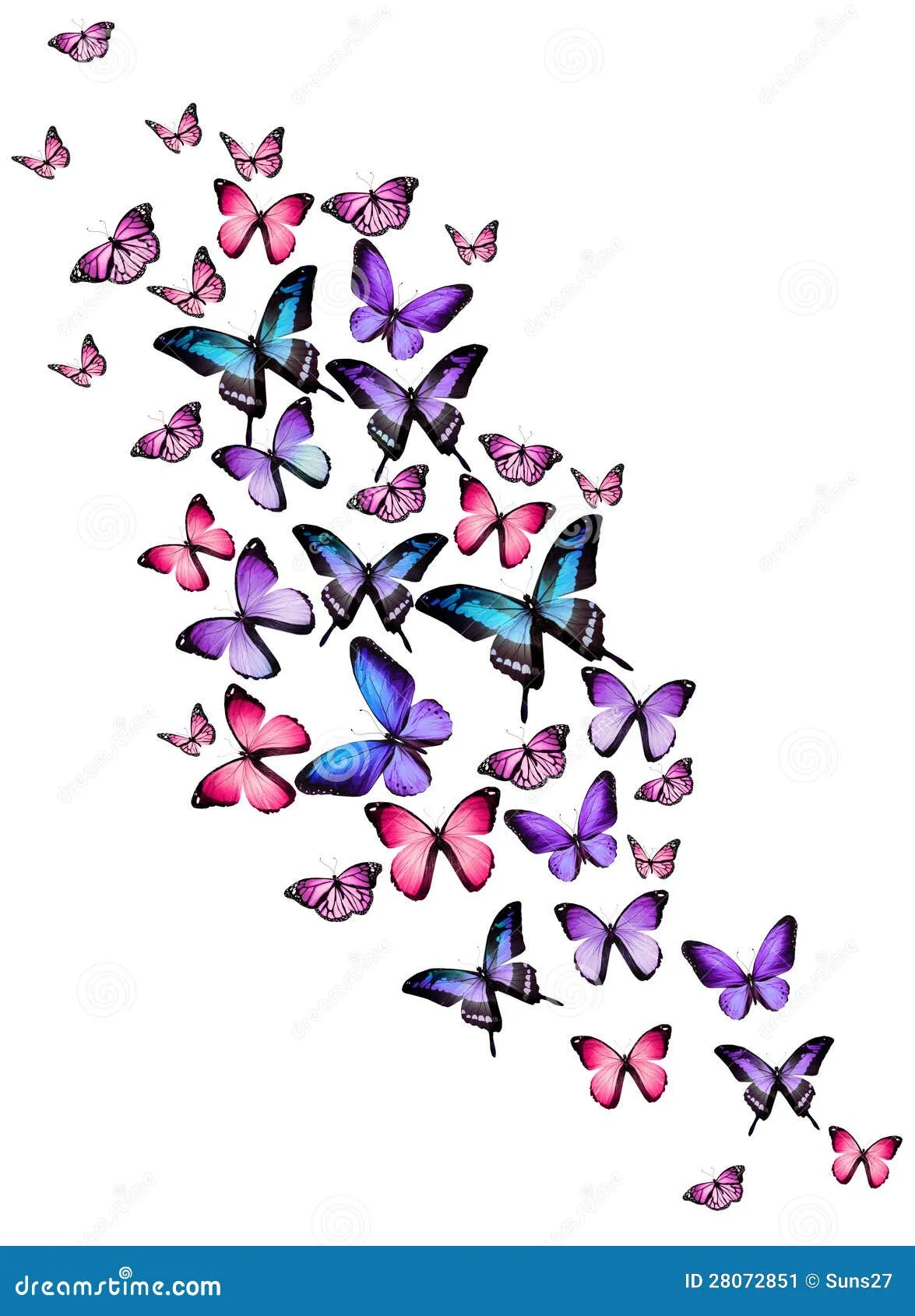 Muchas Diversas Mariposas En El Fondo Blanco Imagen de archivo ...