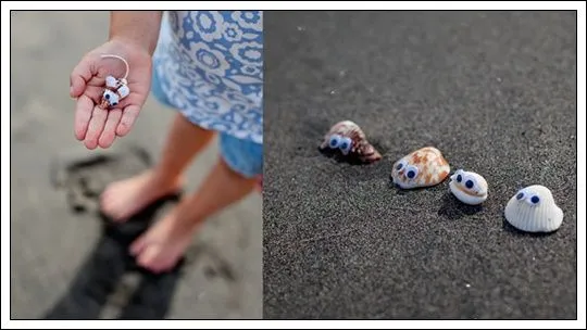 Diversión con conchas de mar > Decoracion Infantil y Juvenil ...