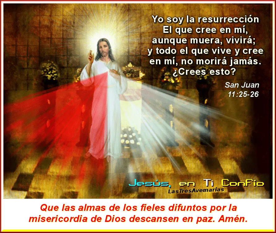 Divina Misericordia : 40 fotos de Jesus misericordiso con la ...