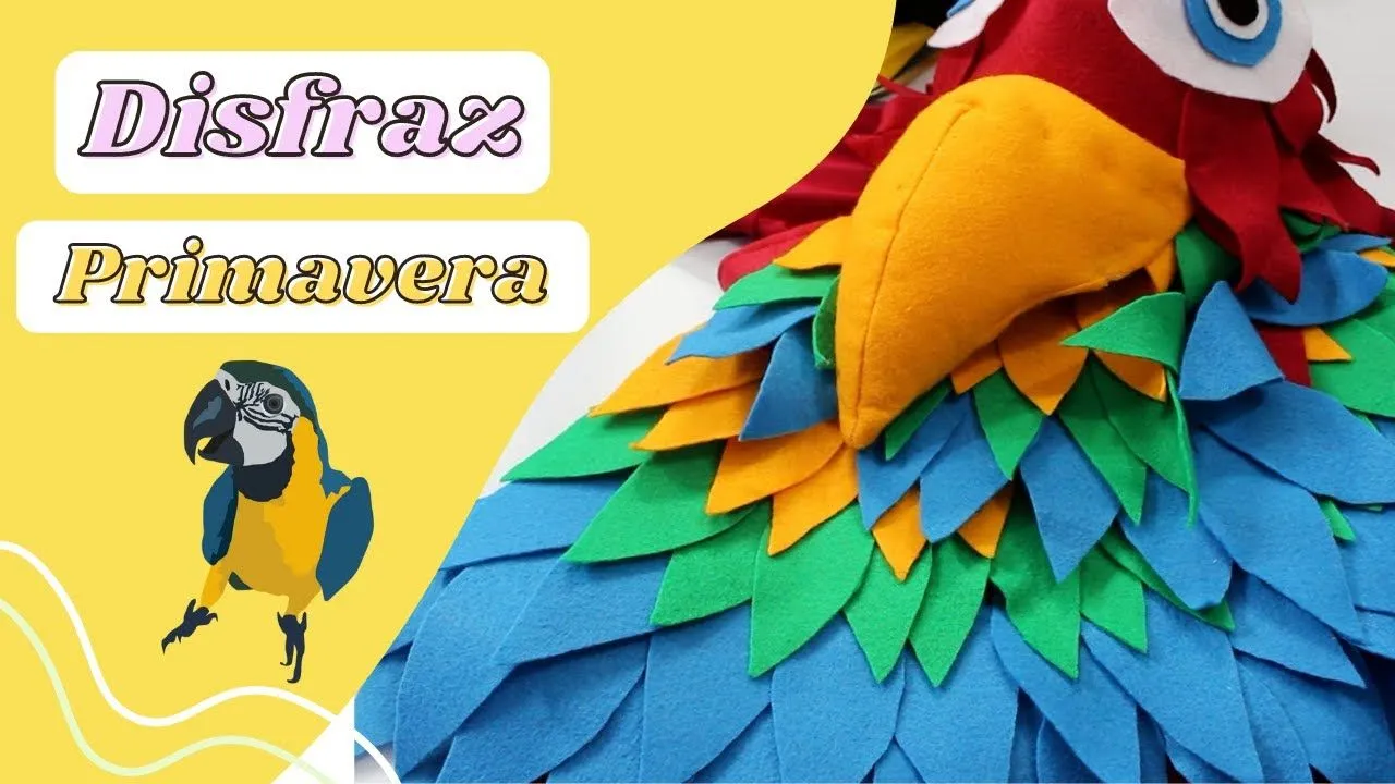 Diy Disfraz De Guacamaya / Disfraz De Pajaro